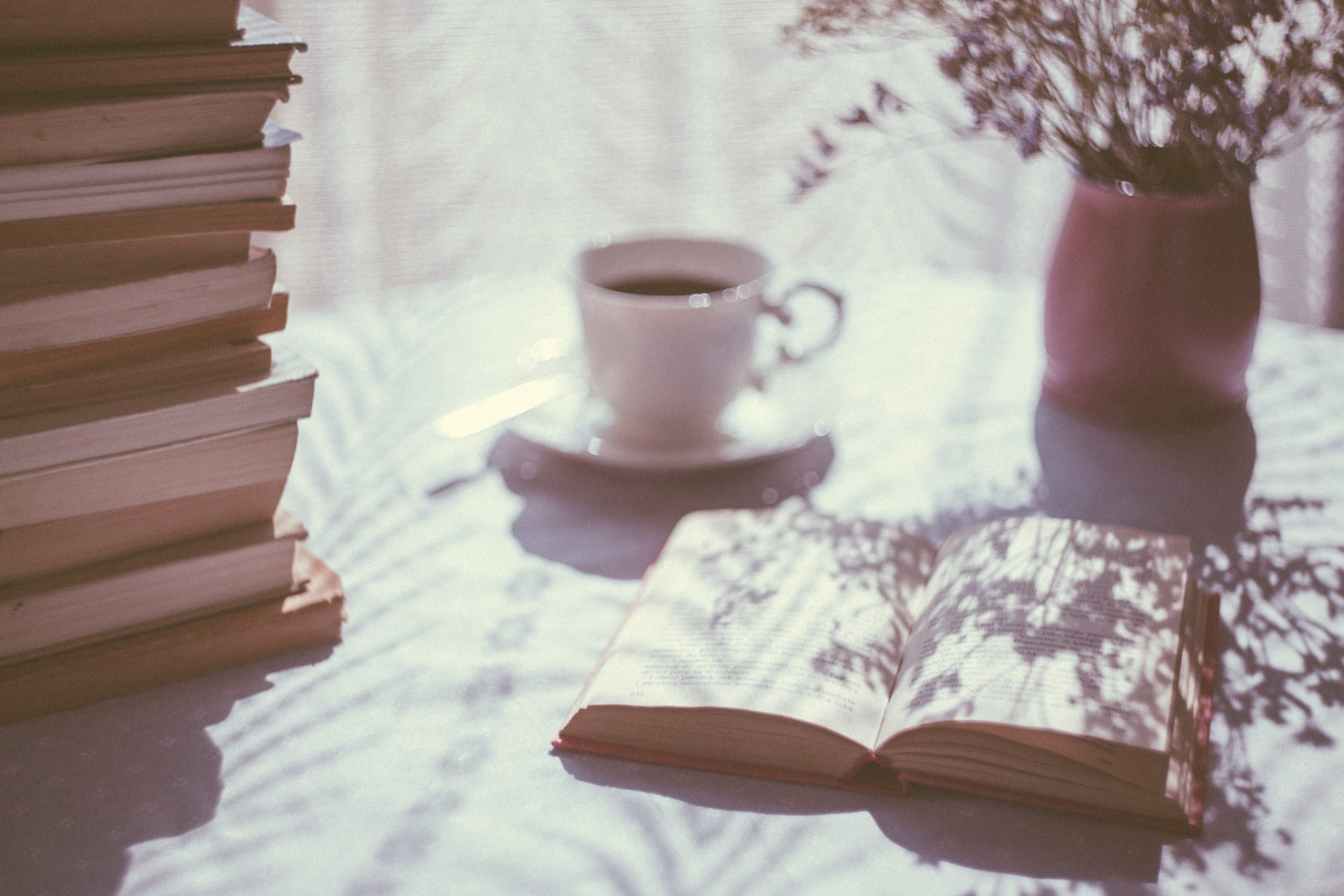 Conheça nossas dicas de livros para acompanhantes
